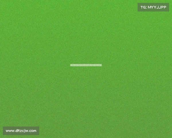 足球俱乐部引援资金使用策略与效益分析对比研究